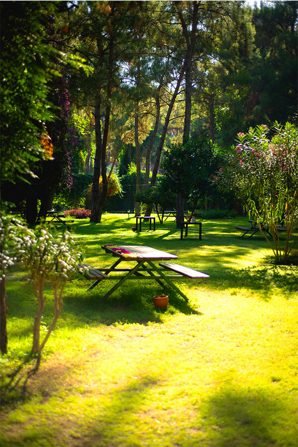 Otelin Özel Ormanında Doğa Yürüyüşü Yapın