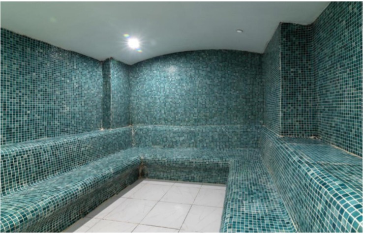 Buhar Odasında Toksinlerinizi Atın